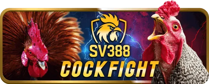 Mẹo chơi nổ hũ hiệu quả tại cf68